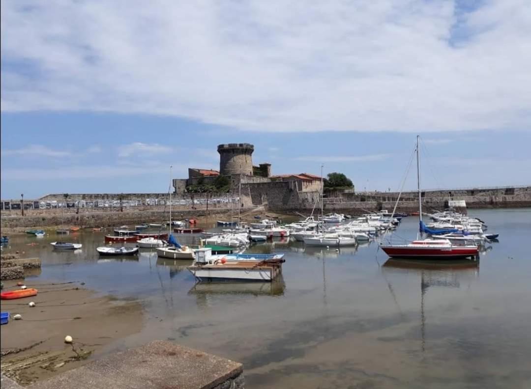 Studio Haut De Bordagain Ciboure Bagian luar foto